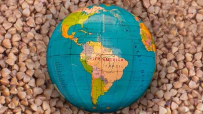 América Latina impulsiona demanda por alimentos premium para pets