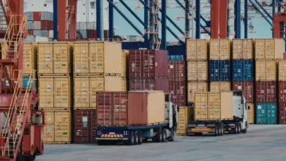 Exportações pet crescem 12% e ampliam presença global do Brasil