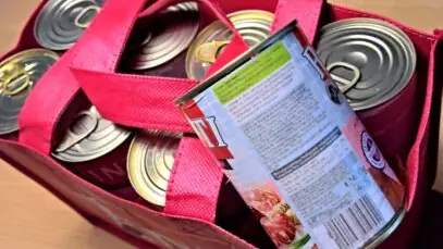 Hidratação impulsiona inovação na alimentação pet