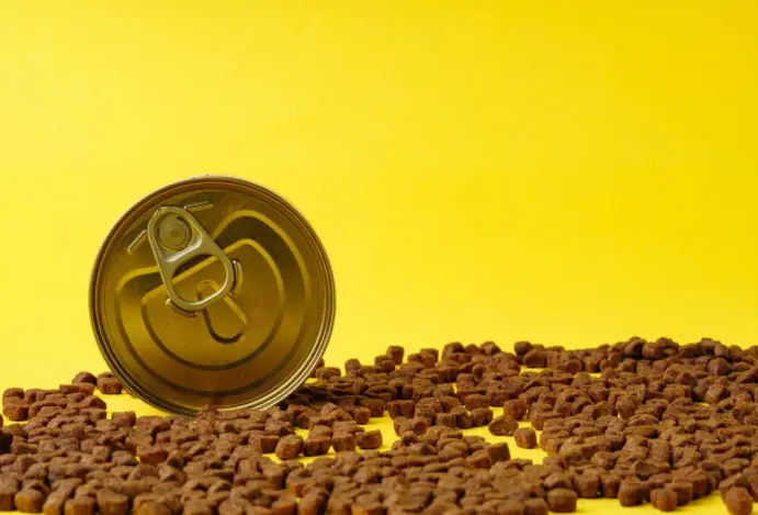 Ações de empresas de pet food têm desempenho aquém do esperado
