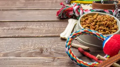 Exporta Mais Brasil - PET está com inscrições abertas