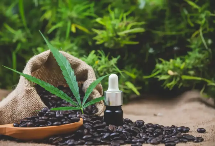 Mendonza regulamenta cannabis medicinal para animais de maneira inédita na Argentina