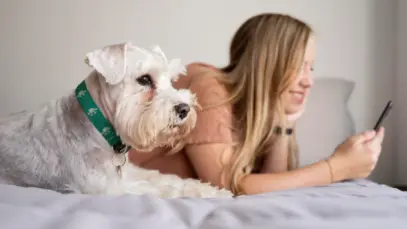 Mudança na relação entre tutores e animais de estimação impulsiona crescimento do setor em Roraima