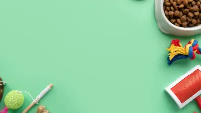 Por que os pet shops brasileiros ainda não aprenderam o essencial com os supermercados?