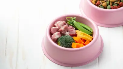 Ingredientes frescos para alimentação de cães e gatos