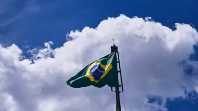 Localização estratégica fortalece liderança brasileira no mercado sul-americano de pet food