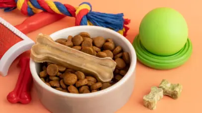 Vendas de produtos pet em supermercados