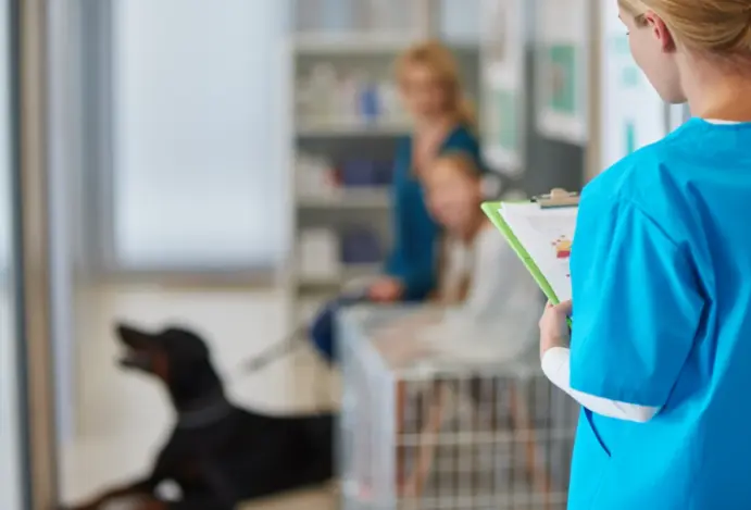 Número de veterinários no Brasil em 2026
