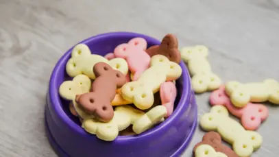 Petiscos para cachorro em formato de ossinho dentro de tigela