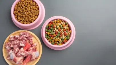 Mars Petcare seleciona startups inovadoras na criação de proteínas sustentáveis