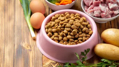 Mercado pet da Turquia se concentra em saúde e alimentação