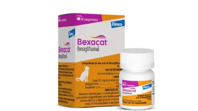 Elanco lança BexacatTM, tratamento oral diário para diabetes felina no Brasil