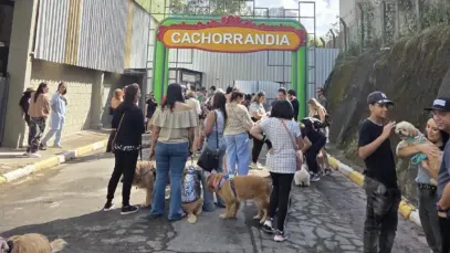 Cachorrandia aposta em modelo de negócios integrado para o mercado pet