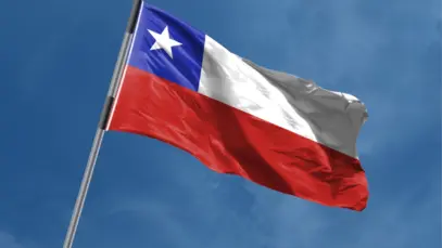 OMS reconhece o Chile por controle de raiva transmitida por cães