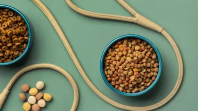 Nestlé Purina investe US$ 193 milhões em nova planta