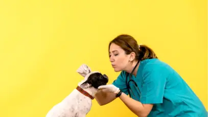 2ª edição do Petlove Vet Summit projeta triplicar audiência