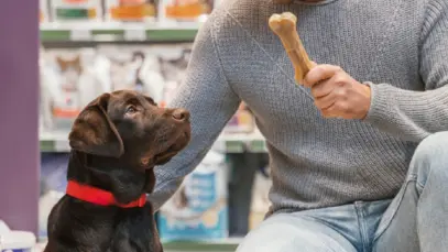 Petz-Cobasi ganha escala, mas enfrenta desafios com marcas próprias e e-commerce