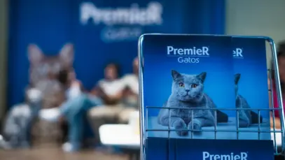 PremieRpet aumenta em 50% o portfólio de felinos