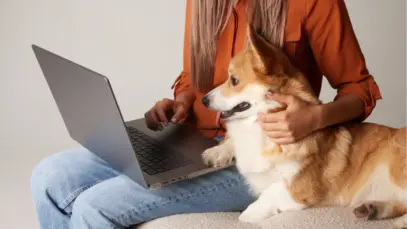 cachorro fazendo companhia para o dono com o computador