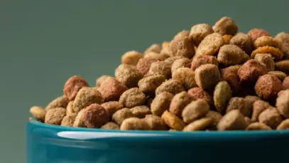 Pote de ração