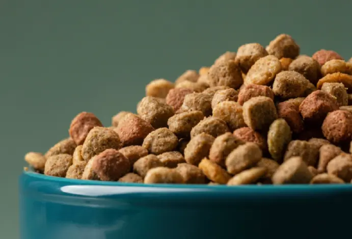 Alta dos preços de pet food atinge recorde nos EUA