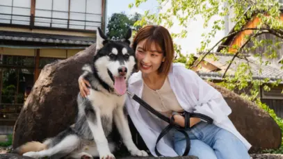Coreia do Sul proíbe carne canina e vê aumento da população pet