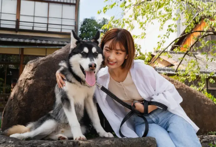 Coreia do Sul proíbe carne canina e vê aumento da população pet
