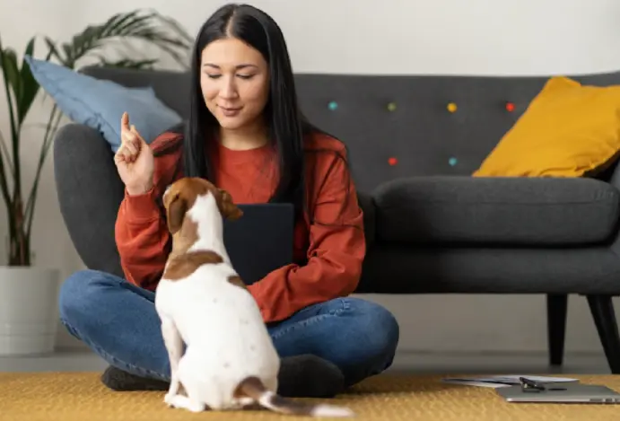 Empresas de pet sitting registraram receita recorde