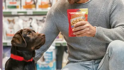 Cachorro olhando pacote de petisco