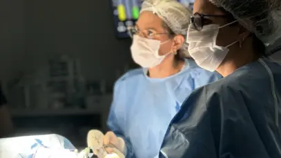 Escola +Pet quer formar médicos veterinários gestores