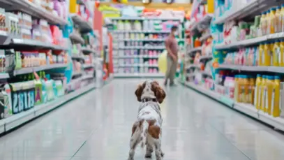Pet shops: tecnologia para conter o avanço dos supermercados